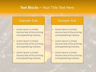 House Electricity Cool PowerPoint Template