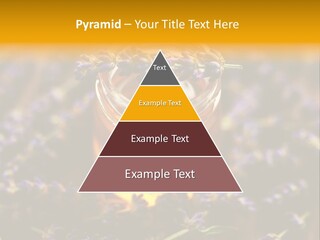 House Electricity Cool PowerPoint Template