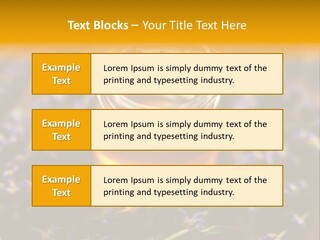 House Electricity Cool PowerPoint Template