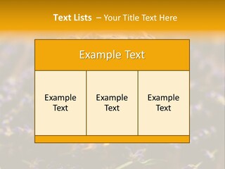 House Electricity Cool PowerPoint Template