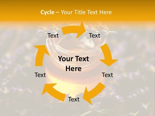 House Electricity Cool PowerPoint Template