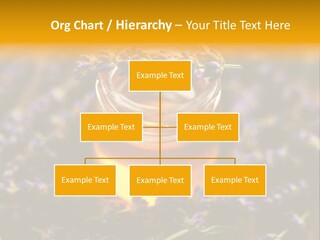 House Electricity Cool PowerPoint Template