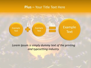 House Electricity Cool PowerPoint Template