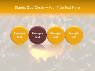 House Electricity Cool PowerPoint Template