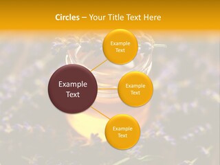 House Electricity Cool PowerPoint Template