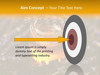 House Electricity Cool PowerPoint Template