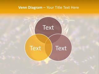 House Electricity Cool PowerPoint Template