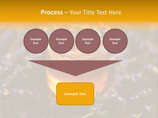 House Electricity Cool PowerPoint Template