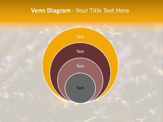 House Electricity Cool PowerPoint Template