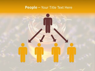 House Electricity Cool PowerPoint Template