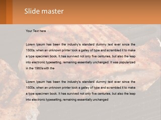 White Cold System PowerPoint Template