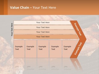 White Cold System PowerPoint Template