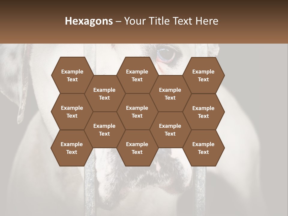 Climate System Cooling PowerPoint Template