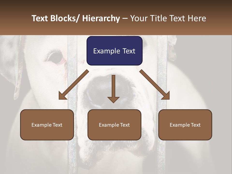 Climate System Cooling PowerPoint Template