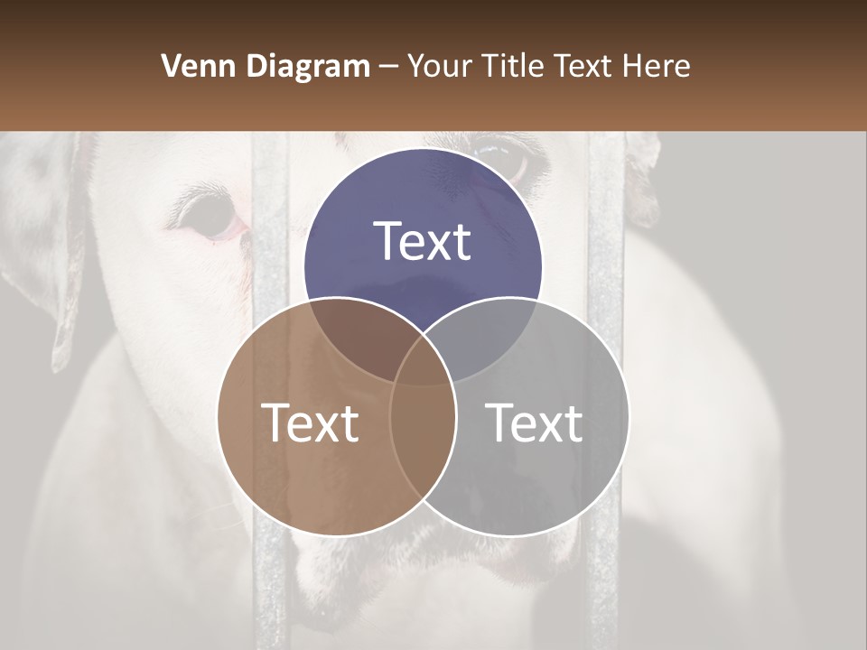 Climate System Cooling PowerPoint Template