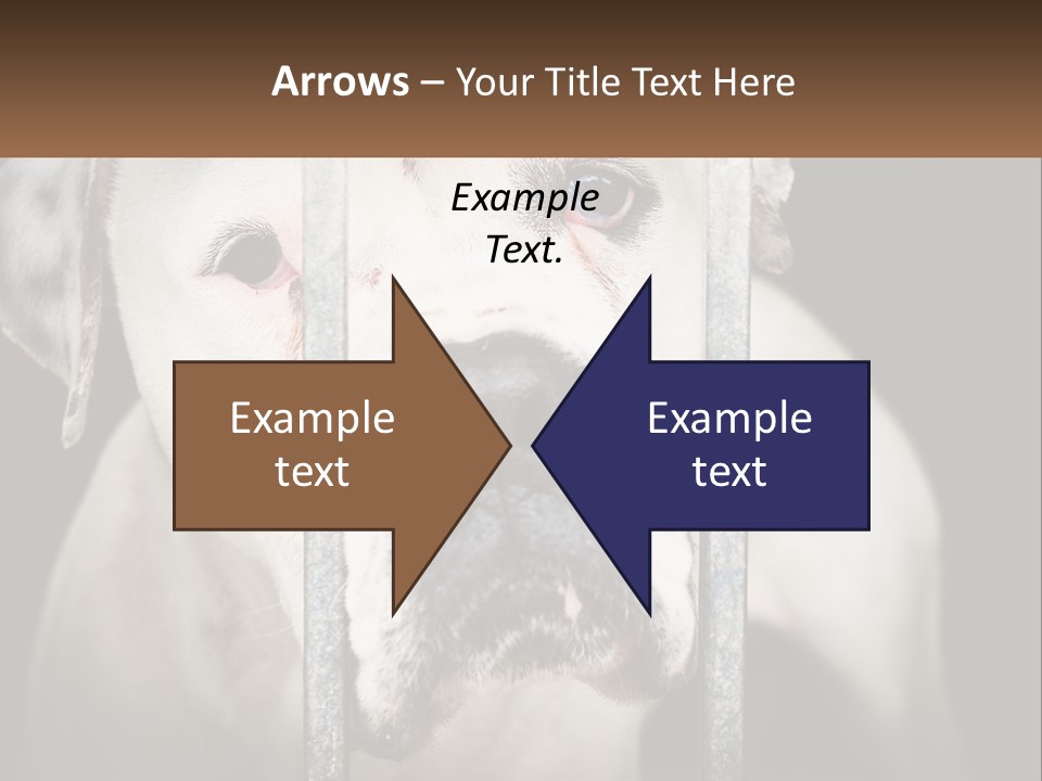 Climate System Cooling PowerPoint Template