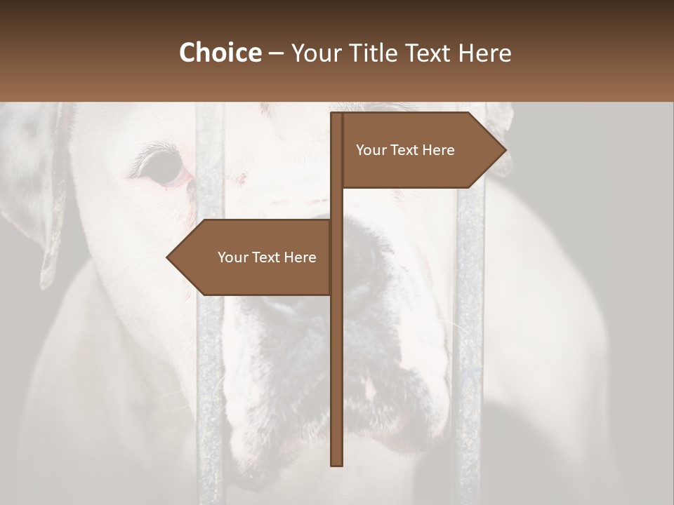 Climate System Cooling PowerPoint Template