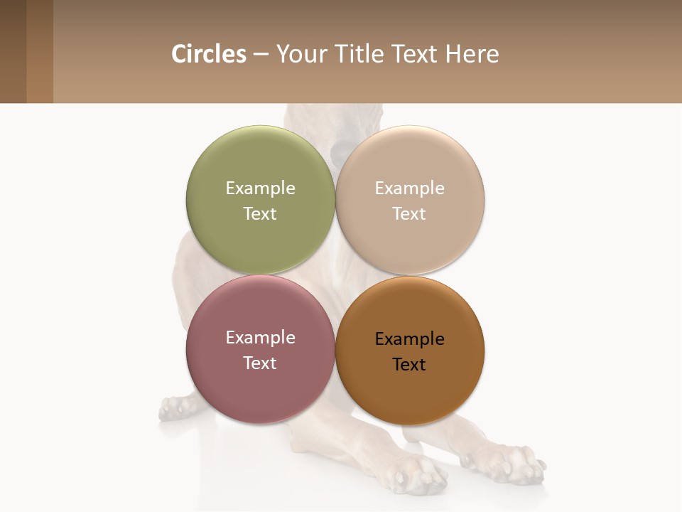 Power Temperature Cold PowerPoint Template