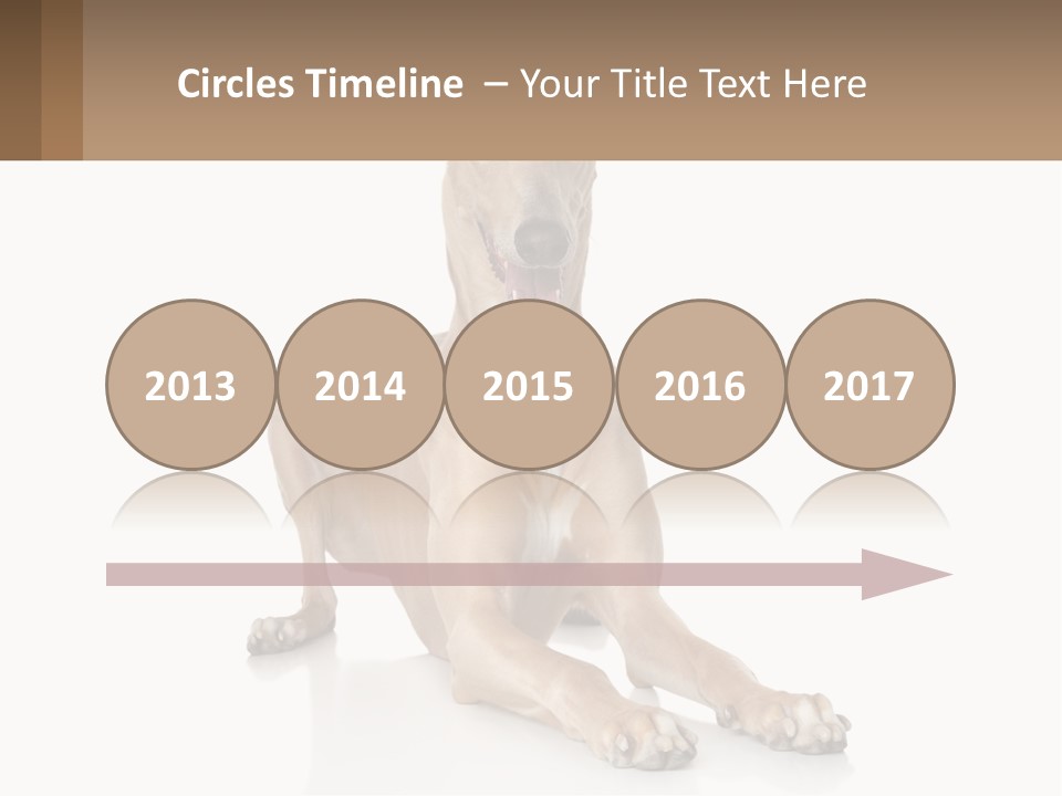 Power Temperature Cold PowerPoint Template