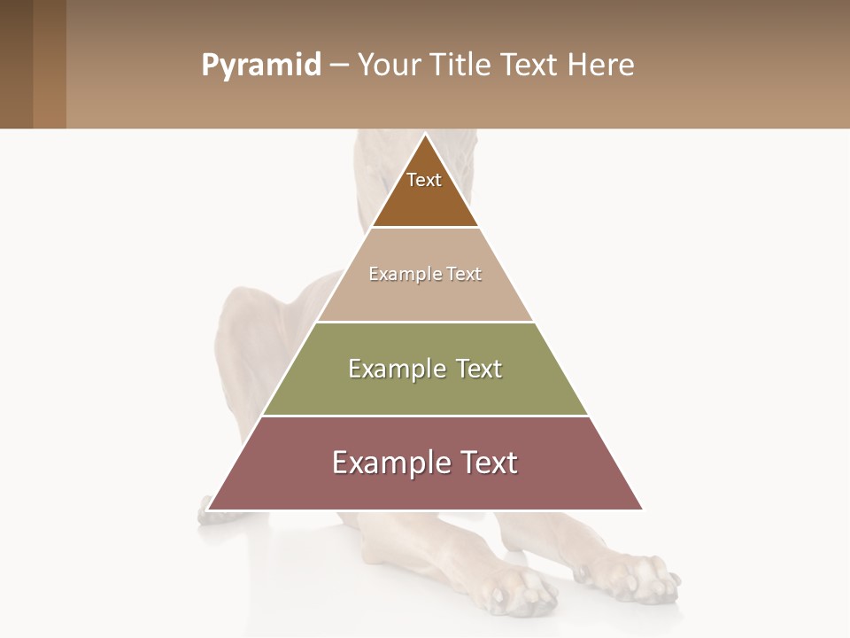 Power Temperature Cold PowerPoint Template