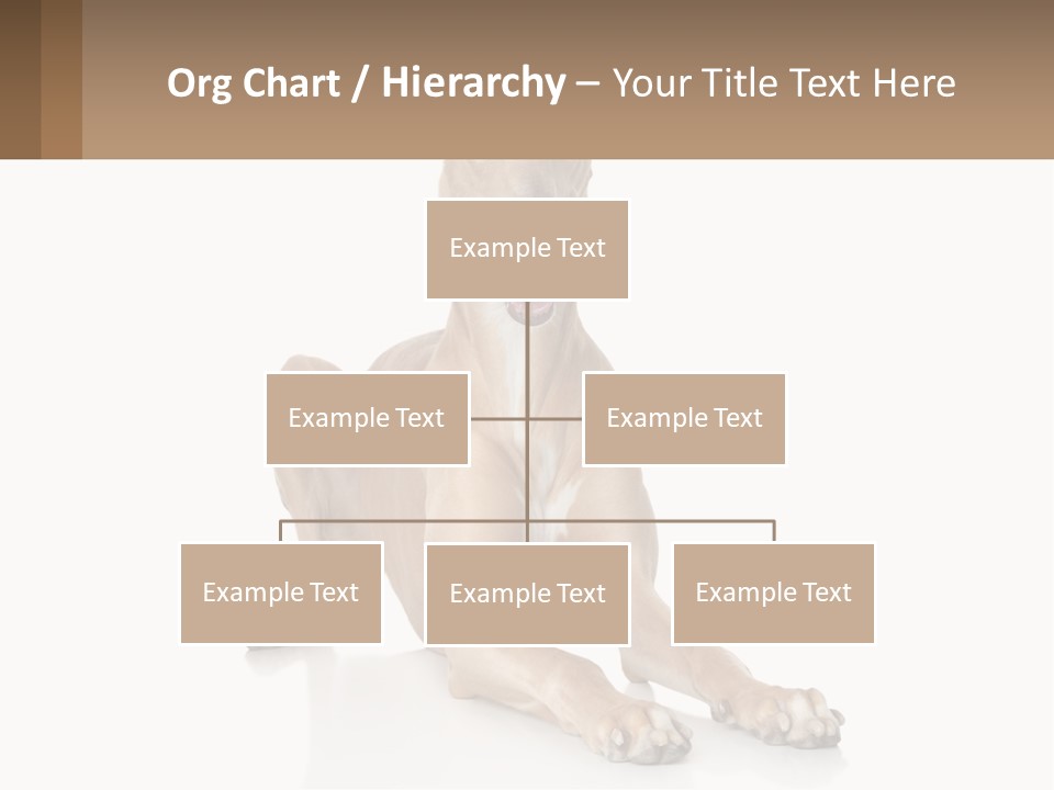 Power Temperature Cold PowerPoint Template