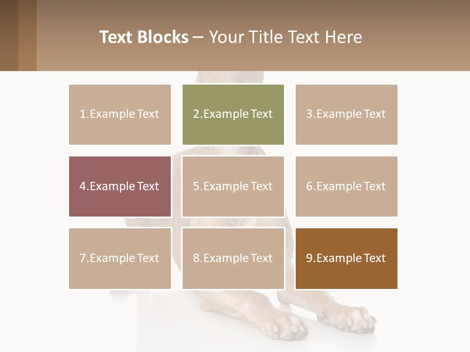 Power Temperature Cold PowerPoint Template