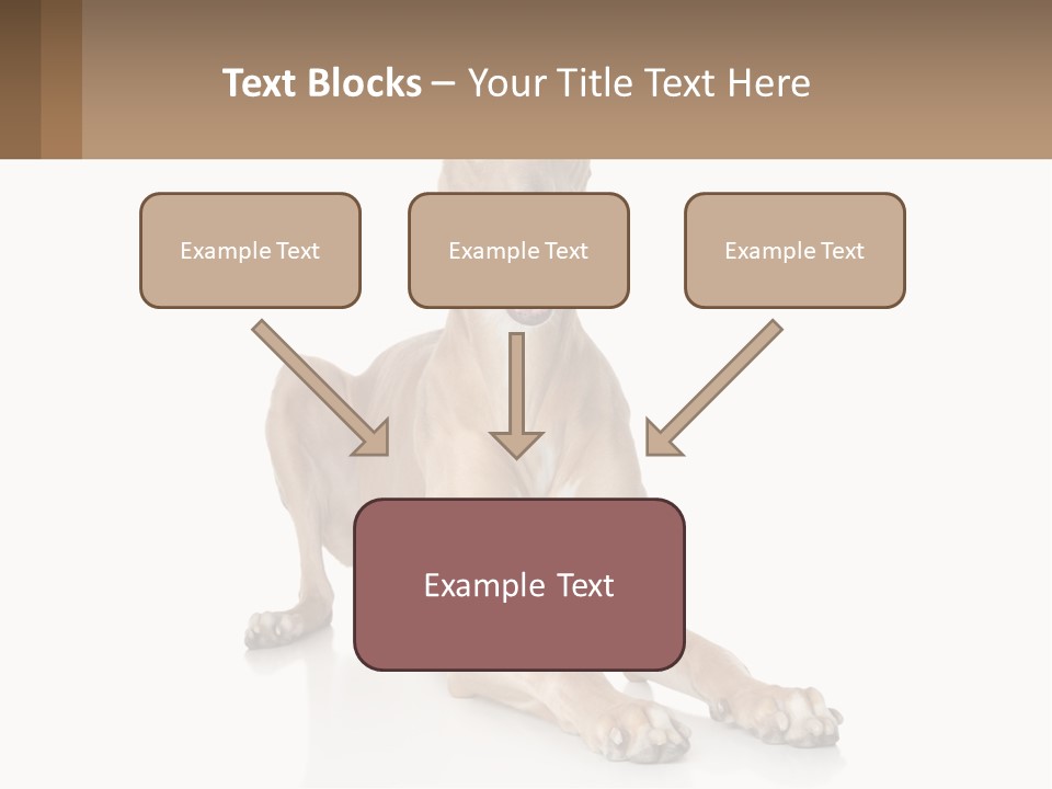Power Temperature Cold PowerPoint Template