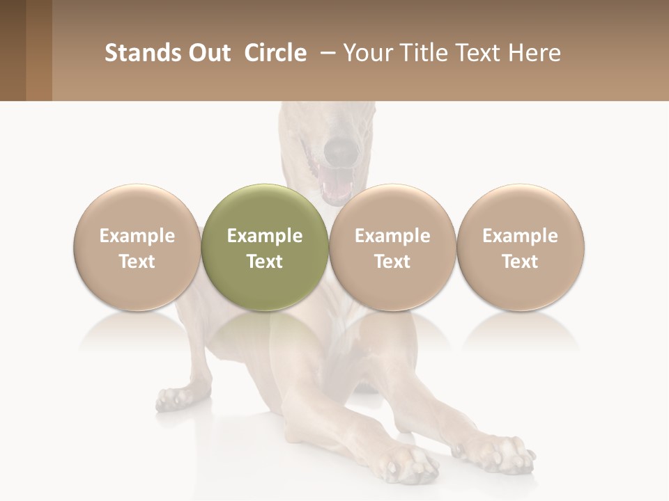 Power Temperature Cold PowerPoint Template