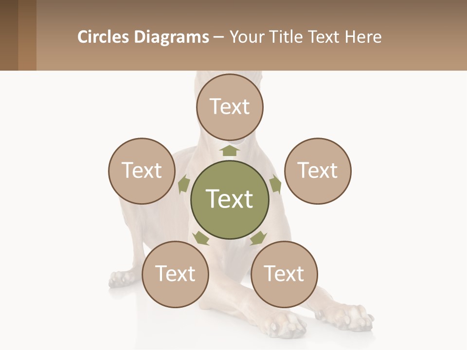 Power Temperature Cold PowerPoint Template
