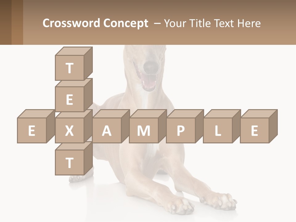 Power Temperature Cold PowerPoint Template
