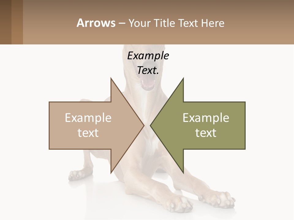 Power Temperature Cold PowerPoint Template