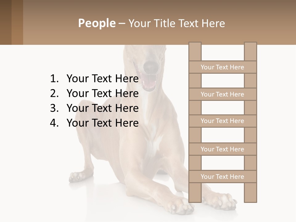 Power Temperature Cold PowerPoint Template