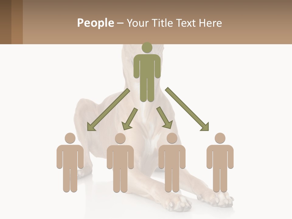 Power Temperature Cold PowerPoint Template