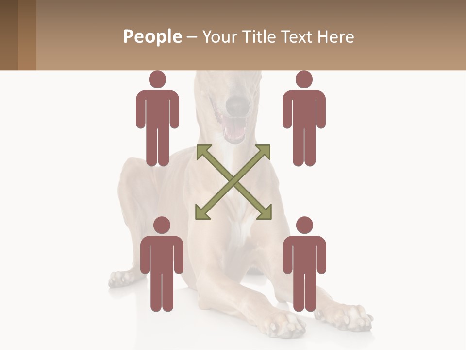 Power Temperature Cold PowerPoint Template