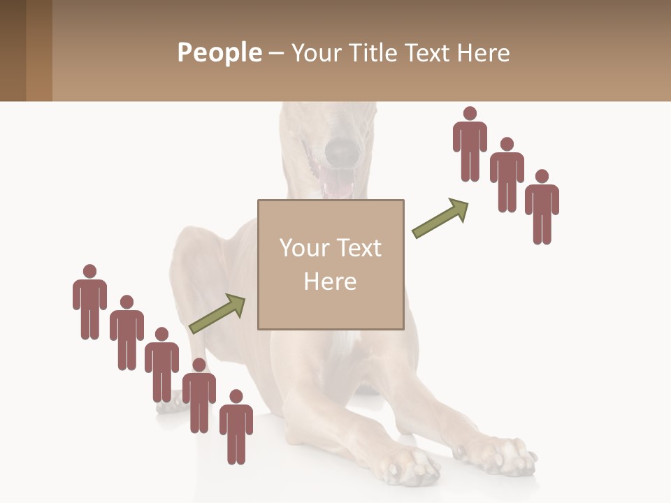 Power Temperature Cold PowerPoint Template