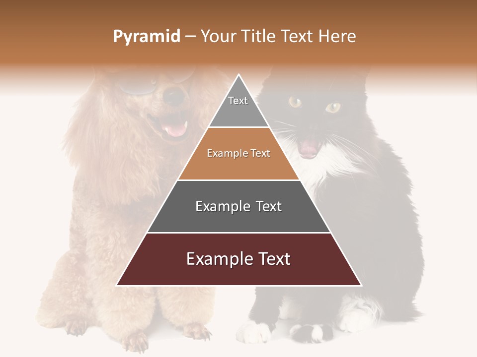 Equipment System Unit PowerPoint Template