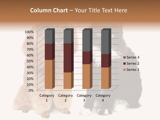 Equipment System Unit PowerPoint Template