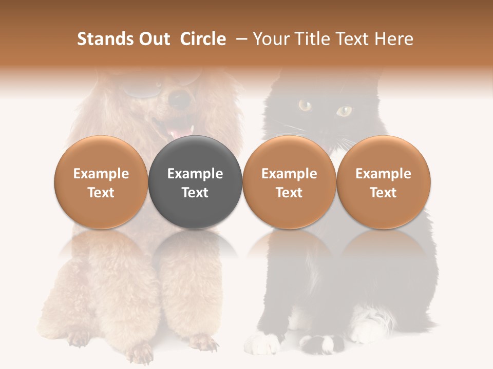 Equipment System Unit PowerPoint Template