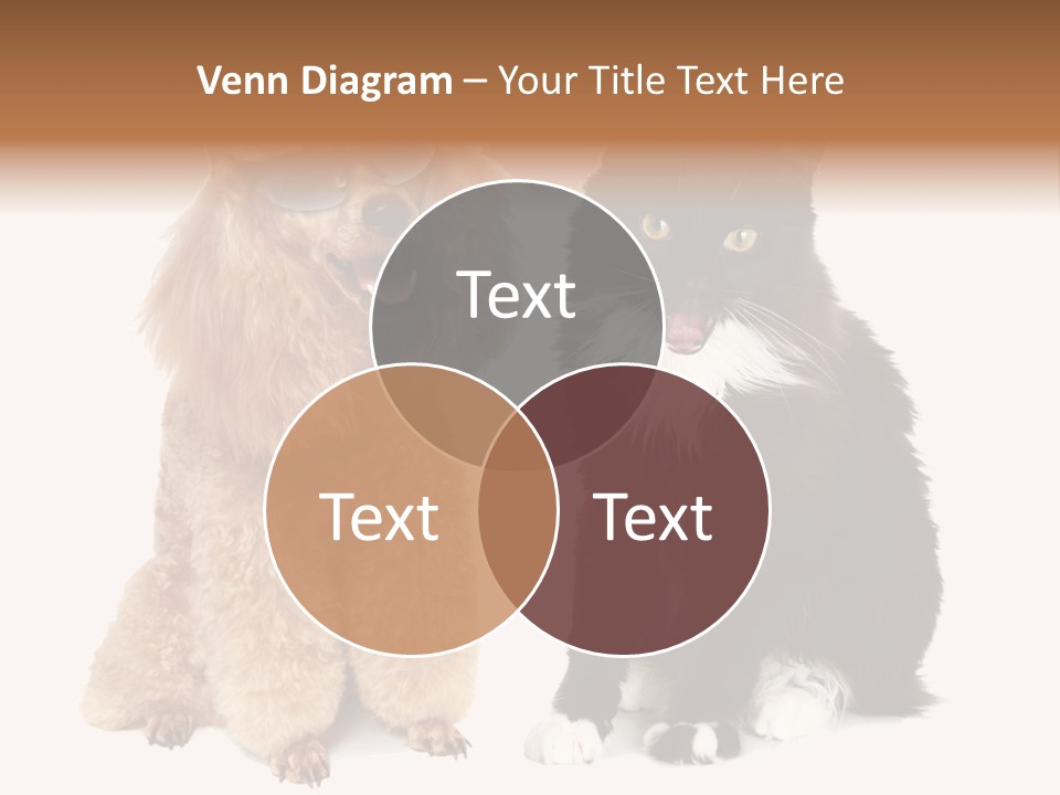 Equipment System Unit PowerPoint Template
