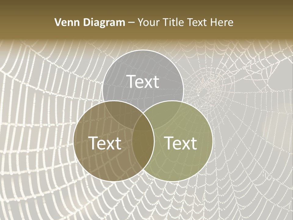 House Technology Power PowerPoint Template