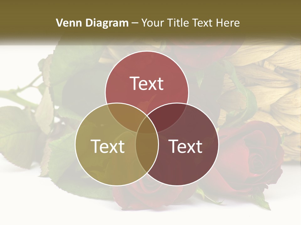 Electric House Industry PowerPoint Template