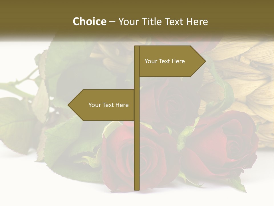 Electric House Industry PowerPoint Template