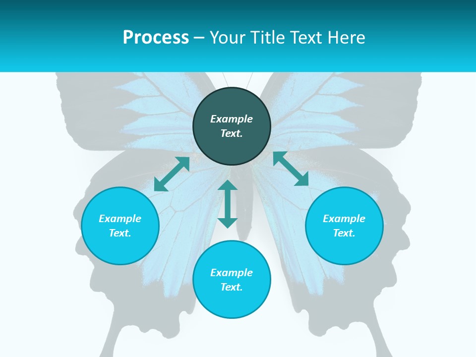 Home Remote Supply PowerPoint Template