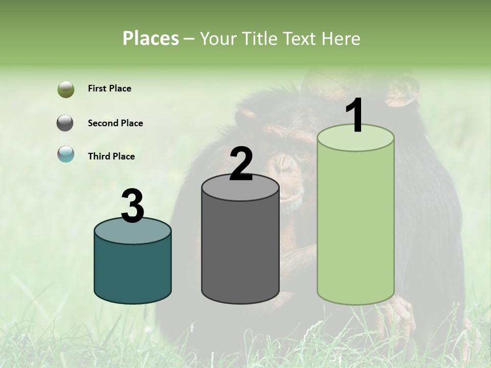 Remote House Power PowerPoint Template