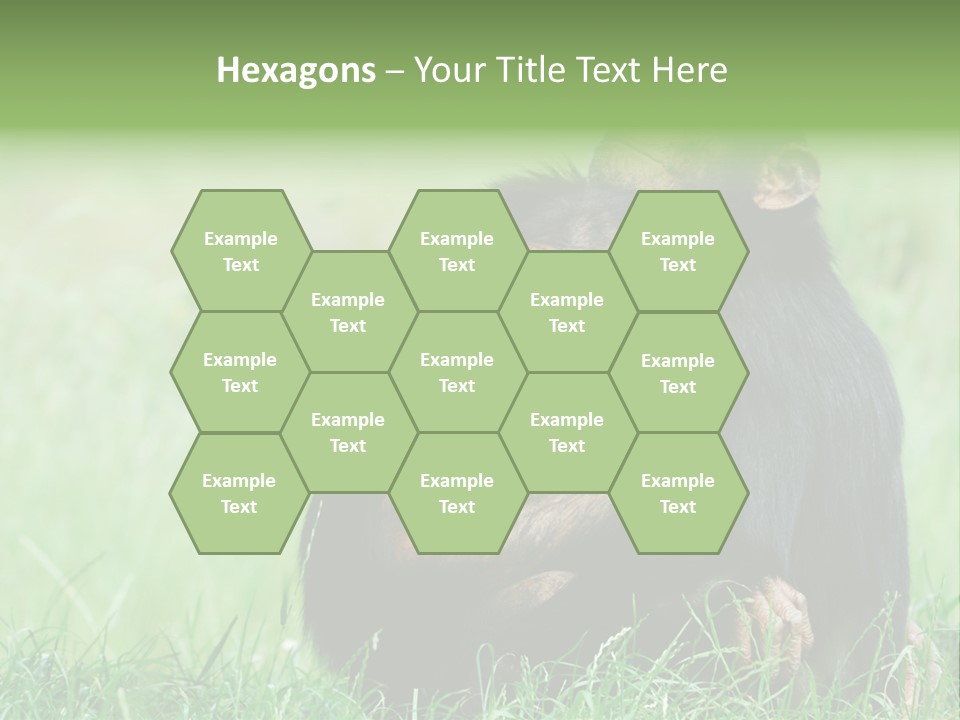 Remote House Power PowerPoint Template