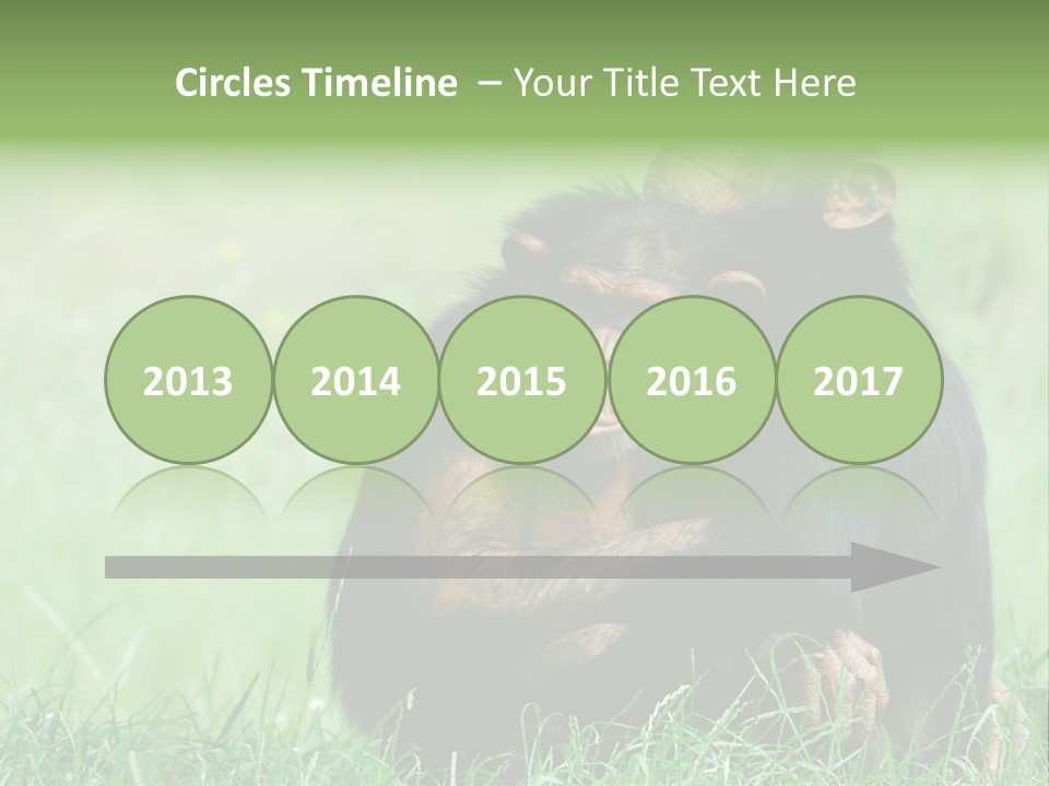 Remote House Power PowerPoint Template