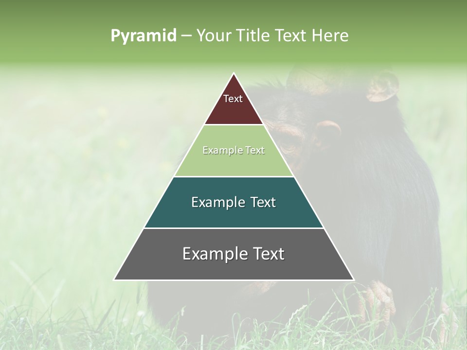 Remote House Power PowerPoint Template