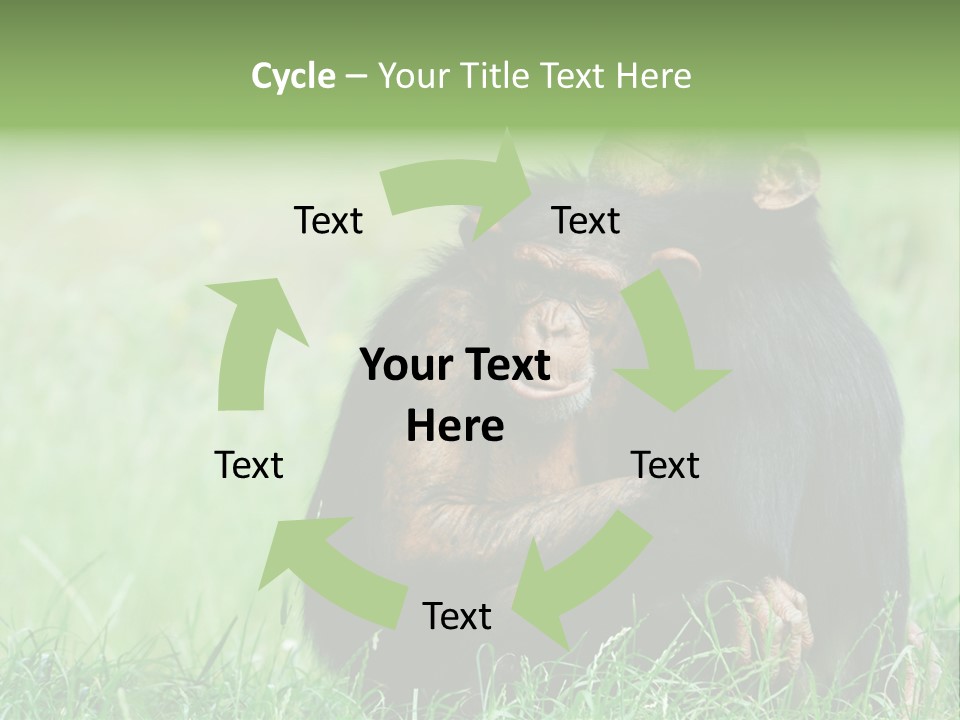Remote House Power PowerPoint Template