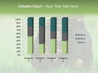 Remote House Power PowerPoint Template