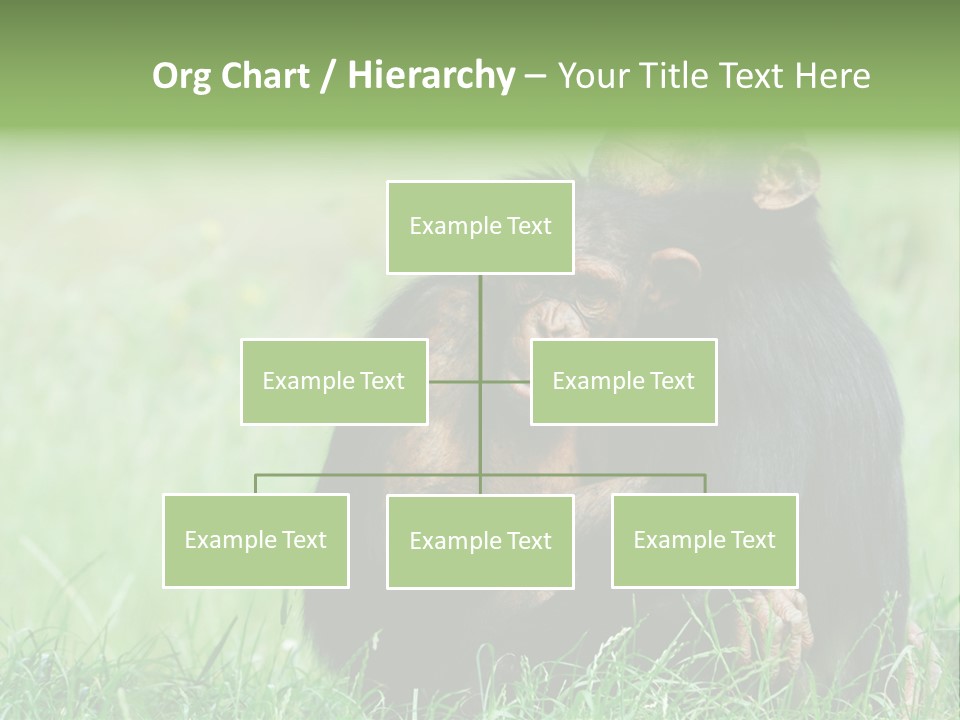 Remote House Power PowerPoint Template